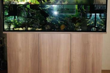 tanks kaufen und verkaufen Photo: Großes Aquarium und Juwel Unterschrank zu verkaufen. 
